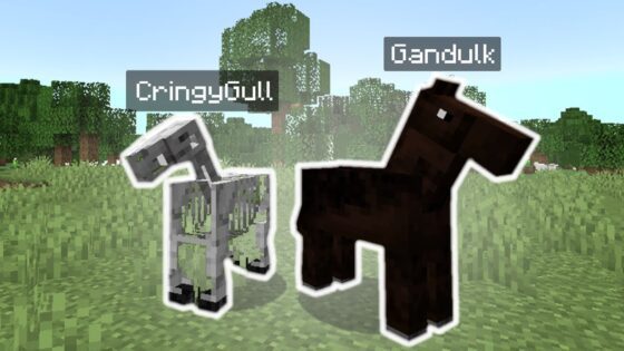 WE BECAME HORSES : Mudcraft 6 - Gameplay, Kingdom Kids Zone, Minecraft - CringyGull