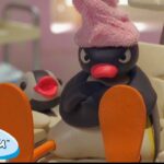 Pingu Loves Life | Pingu – Official Channel | Cartoons For Kids - Kids (0-4), Kingdom Kids Zone - Pingu - Official Channel