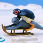 Pingu in the Snow ❄️ | Pingu – Official Channel | Cartoons For Kids - Kids (0-4), Kingdom Kids Zone - Pingu - Official Channel