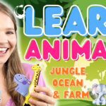 Witness21 Editor  2022 09 07