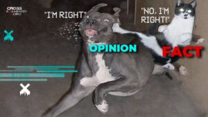 Can we know what is morally right? - Morality & Meaning, Truth Seekers - Cross Examined