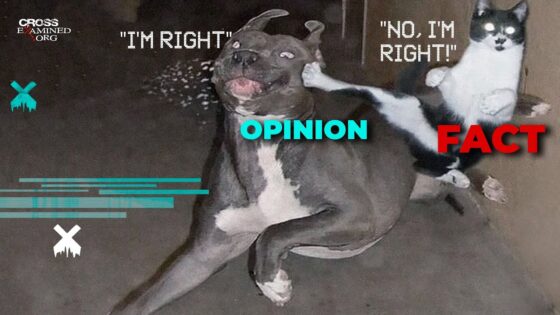 Can we know what is morally right? - Morality & Meaning, Truth Seekers - Cross Examined