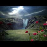 Witness21  2022 09 10