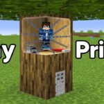 This Tiny Prison Took 23 Hours To Escape… - Gameplay, Kingdom Kids Zone, Minecraft - EYstreem