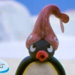 Pingu Plays Sports | Pingu – Official Channel | Cartoons For Kids - Kids (0-5), Kingdom Kids Zone - Pingu - Official Channel