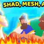 Witness21 Editor  2022 10 24