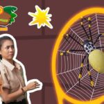 Witness21  2022 10 15