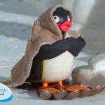 Pingu Explores the Outdoors 🐧 | Pingu – Official Channel | Cartoons For Kids - Kids (0-4), Kingdom Kids Zone - Pingu - Official Channel