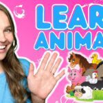 Witness21 Editor  2022 10 06