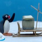 Pingu Explores the World | Pingu – Official Channel | Cartoons For Kids - Kids (0-4), Kingdom Kids Zone - Pingu - Official Channel