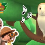 Witness21  2022 10 29