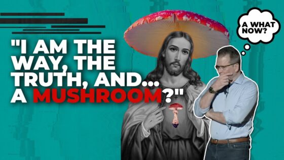 Was Jesus a mushroom? - Jesus & the Resurrection, Truth Seekers - Cross Examined