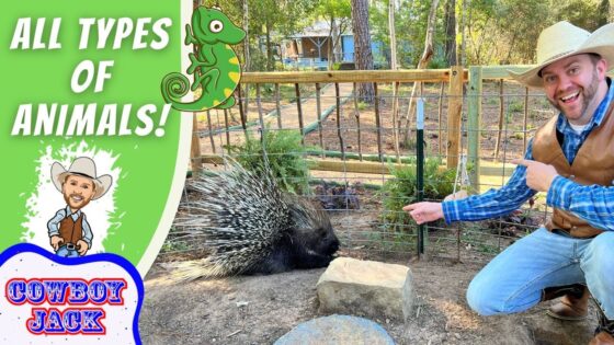 Smiling man in a cowboy hat kneels by a wooden fence, pointing at a porcupine in a dirt enclosure.
