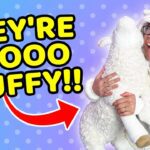 Witness21 Editor  2022 10 28