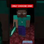 Minecraft ONLY ONE Herobrine Can Be SAVED - Gameplay, Kingdom Kids Zone, Minecraft - EYstreem