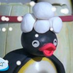 Pingu Tries New Things 🐧 | Pingu – Official Channel | Cartoons For Kids - Kids (0-4), Kingdom Kids Zone - Pingu - Official Channel