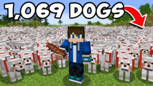 Breeding 1,069 Wolves to Kill One Minecraft Player - Gameplay, Kingdom Kids Zone, Minecraft - EYstreem