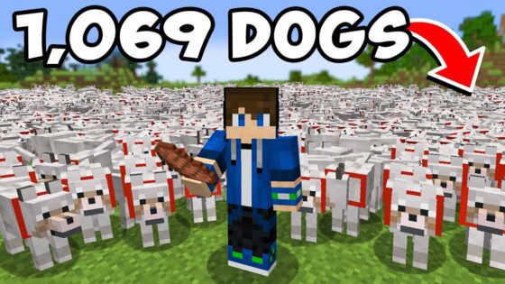 Breeding 1,069 Wolves to Kill One Minecraft Player - Gameplay, Kingdom Kids Zone, Minecraft - EYstreem