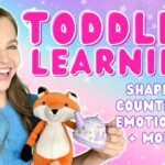 Witness21 Editor  2022 11 28