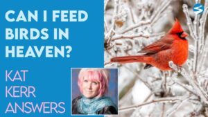 Kat Kerr: Can I Feed the Birds In Heaven? | Dec 22 2021 - Encounters, Heaven Trip, Testimonies - ElijahClips