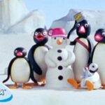 Winter with Pingu π§ | Pingu β Official Channel | Cartoons For Kids - Kids (0-4), Kingdom Kids Zone - Pingu - Official Channel