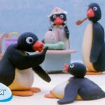 Pingu is Thankful 🐧 | Pingu – Official Channel | Cartoons For Kids - Kids (0-4), Kingdom Kids Zone - Pingu - Official Channel