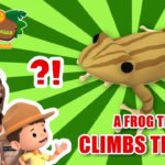 Witness21  2022 11 12