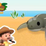 Witness21  2022 11 26