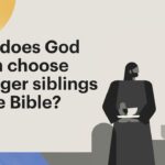 Witness21 Editor  2022 12 22