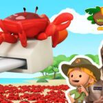 Witness21  2022 12 24