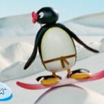 Pingu the Athlete 🐧 | Pingu – Official Channel | Cartoons For Kids - Kids (0-4), Kingdom Kids Zone - Pingu - Official Channel