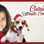 Witness21  2022 12 19