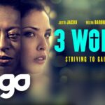 Witness21 Editor  2022 12 16