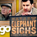 Witness21 Editor  2022 12 19