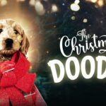 Witness21  2022 12 26