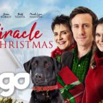 Witness21 Editor  2022 12 17