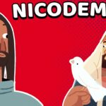 Witness21 Editor  2023 01 23