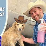 Man in a cowboy hat sprays a wet golden retriever with a pink bottle; left panel reads 'Dog Bath Time for Kids!'