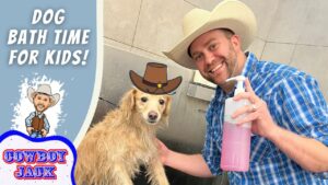 Man in a cowboy hat sprays a wet golden retriever with a pink bottle; left panel reads 'Dog Bath Time for Kids!'