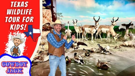 Promotional thumbnail for a Texas wildlife tour for kids, showing a cowboy presenter with many birds behind him.
