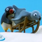 Pingu Becomes an Explorer 🐧 | Pingu – Official Channel | Cartoons For Kids - Kids (0-4), Kingdom Kids Zone - Pingu - Official Channel