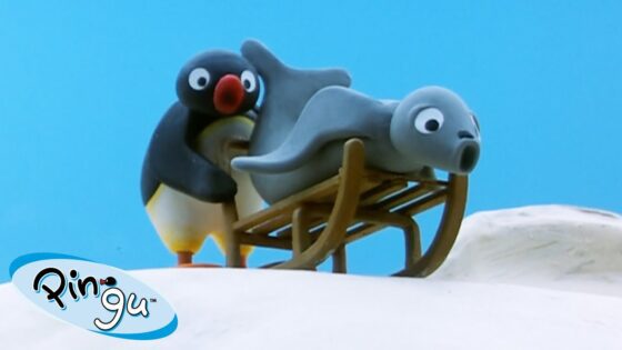 Pingu Becomes an Explorer 🐧 | Pingu – Official Channel | Cartoons For Kids - Kids (0-5), Kingdom Kids Zone - Pingu - Official Channel