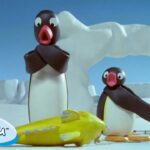 Pingu's Favorite Adventures🐧 | Pingu – Official Channel | Cartoons For Kids - Kids (0-4), Kingdom Kids Zone - Pingu - Official Channel