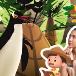 Witness21  2023 01 21