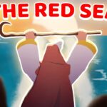 Witness21 Editor  2023 01 09