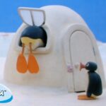 Pingu's Favorite Pastimes 🐧 | Pingu – Official Channel | Cartoons For Kids - Kids (0-4), Kingdom Kids Zone - Pingu - Official Channel