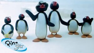 Pingu At School 🐧 | Pingu – Official Channel | Cartoons For Kids - Kids (0-5), Kingdom Kids Zone - Pingu - Official Channel