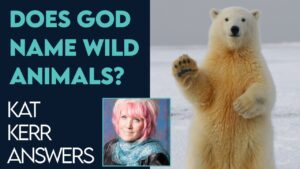Kat Kerr: Does God Name Wild Animals In Heaven? | Nov 23 2022 - Encounters, Heaven Trip, Testimonies - ElijahClips