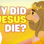 Witness21 Editor  2023 02 20