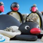Pingu Enjoys Art!🐧 | Pingu – Official Channel | Cartoons For Kids - Kids (0-4), Kingdom Kids Zone - Pingu - Official Channel